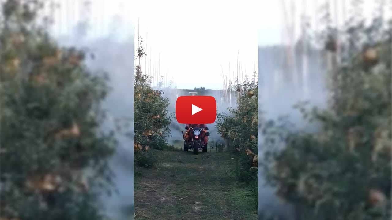 Fumigadora Sprayer Type D Diaphragm | Sierra Linda